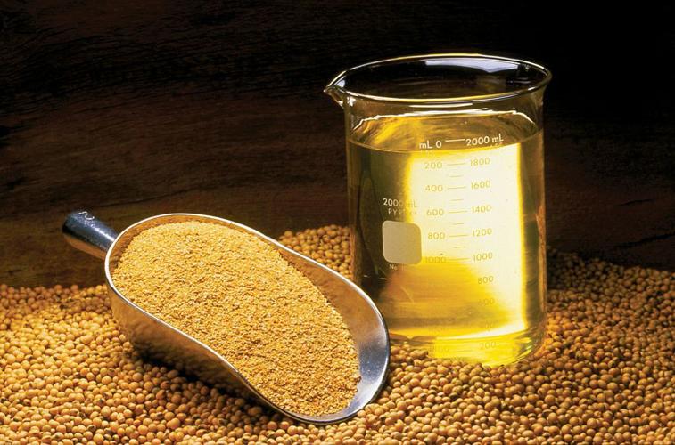 Soybeans with oil and meal