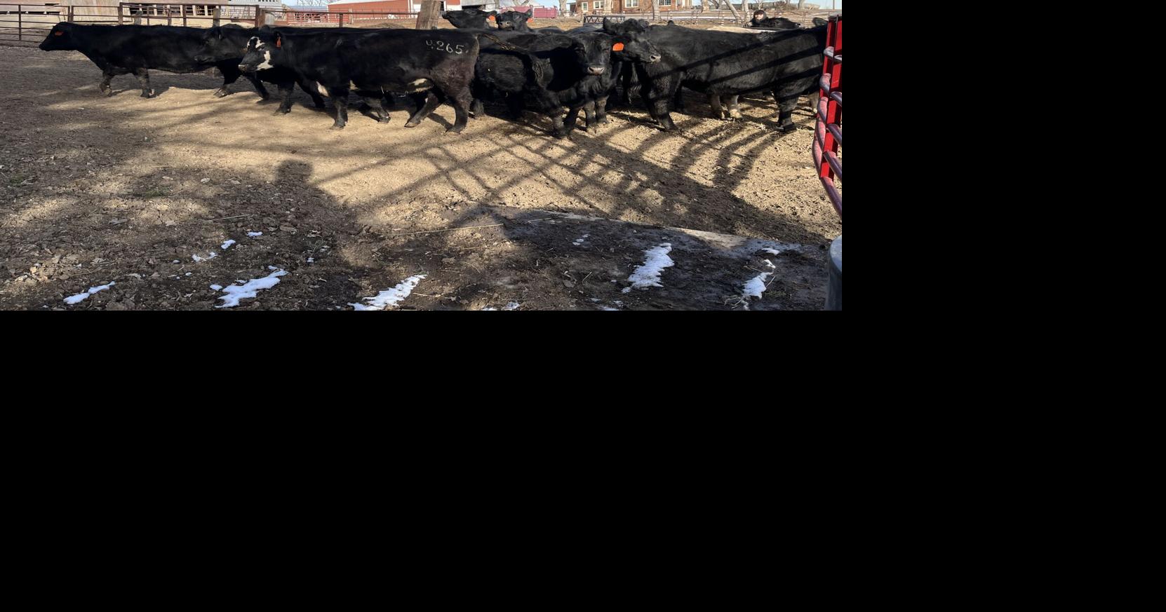 Down on the Farm 3.jpeg