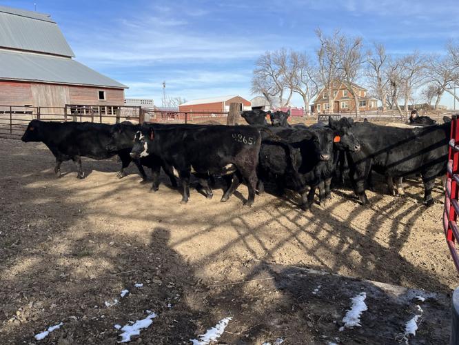 Down on the Farm 3.jpeg