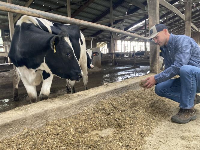 Dairy Nutrition (98).JPG