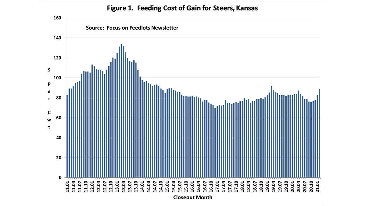 Cattle cost of gain could peak in third quarter