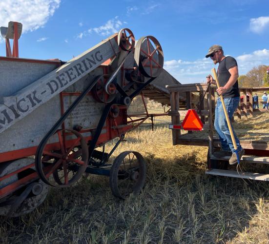 Feeding the threshers