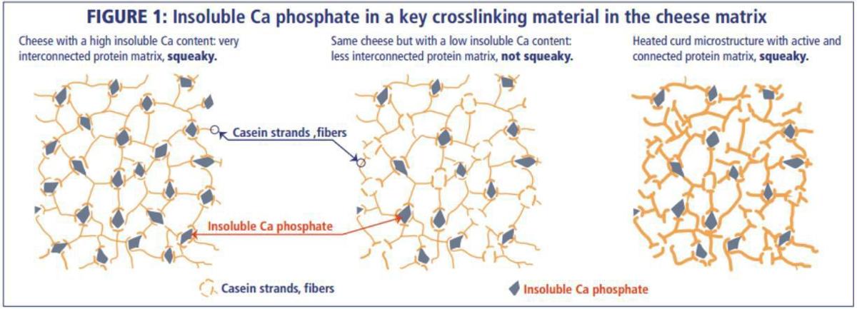 Crosslinking material in cheese
