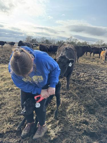 Crop Watcher Kerner (1).jpeg