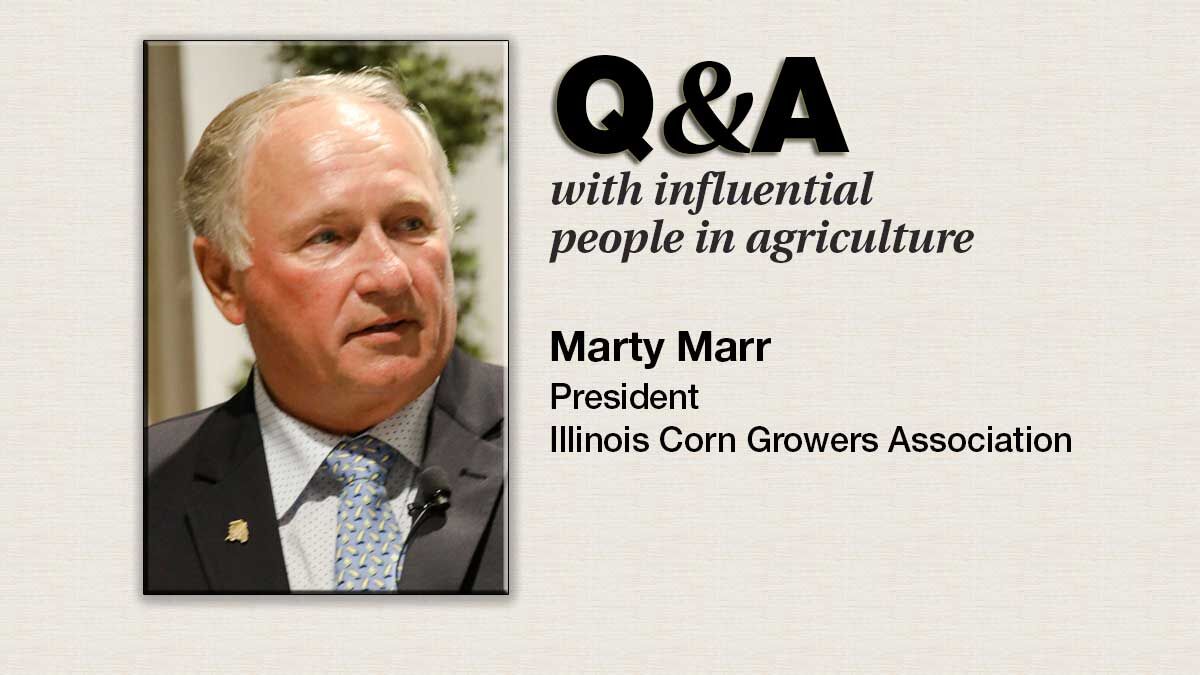 Q-&-A--Marty-Marr