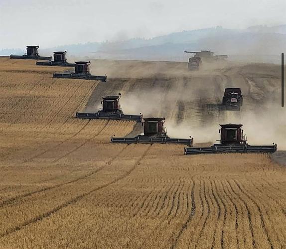 Combines in field