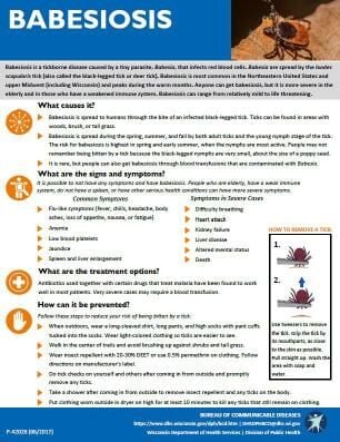 Babesiosis