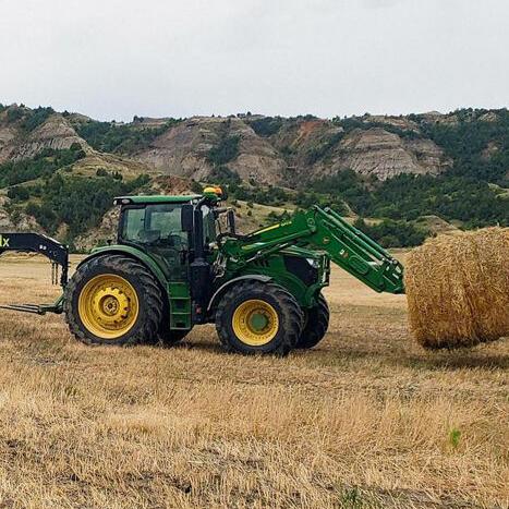 Hay