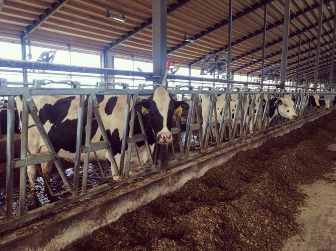 Milking parlor