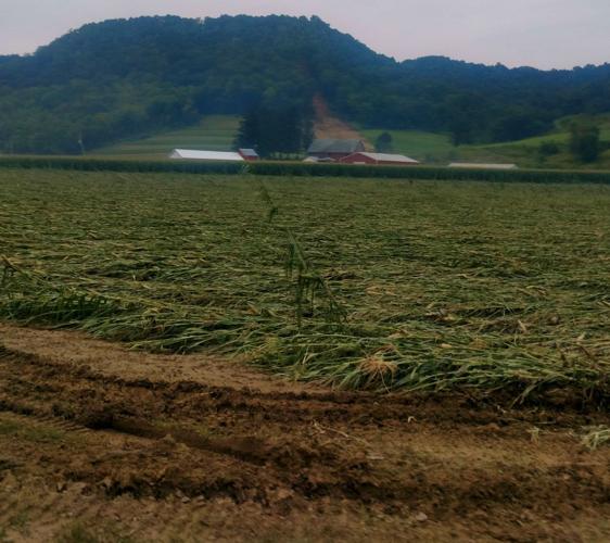 Farms damaged