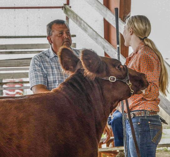 Mark Weigel talking with cattle show competitor