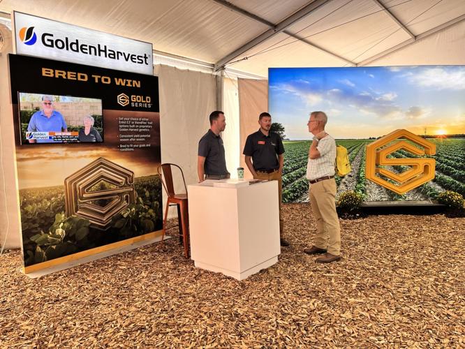 Golden Harvest 2.JPEG