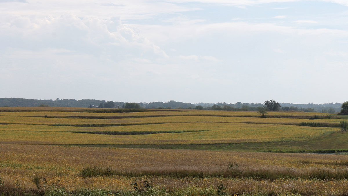 Watershed demo prairie strips