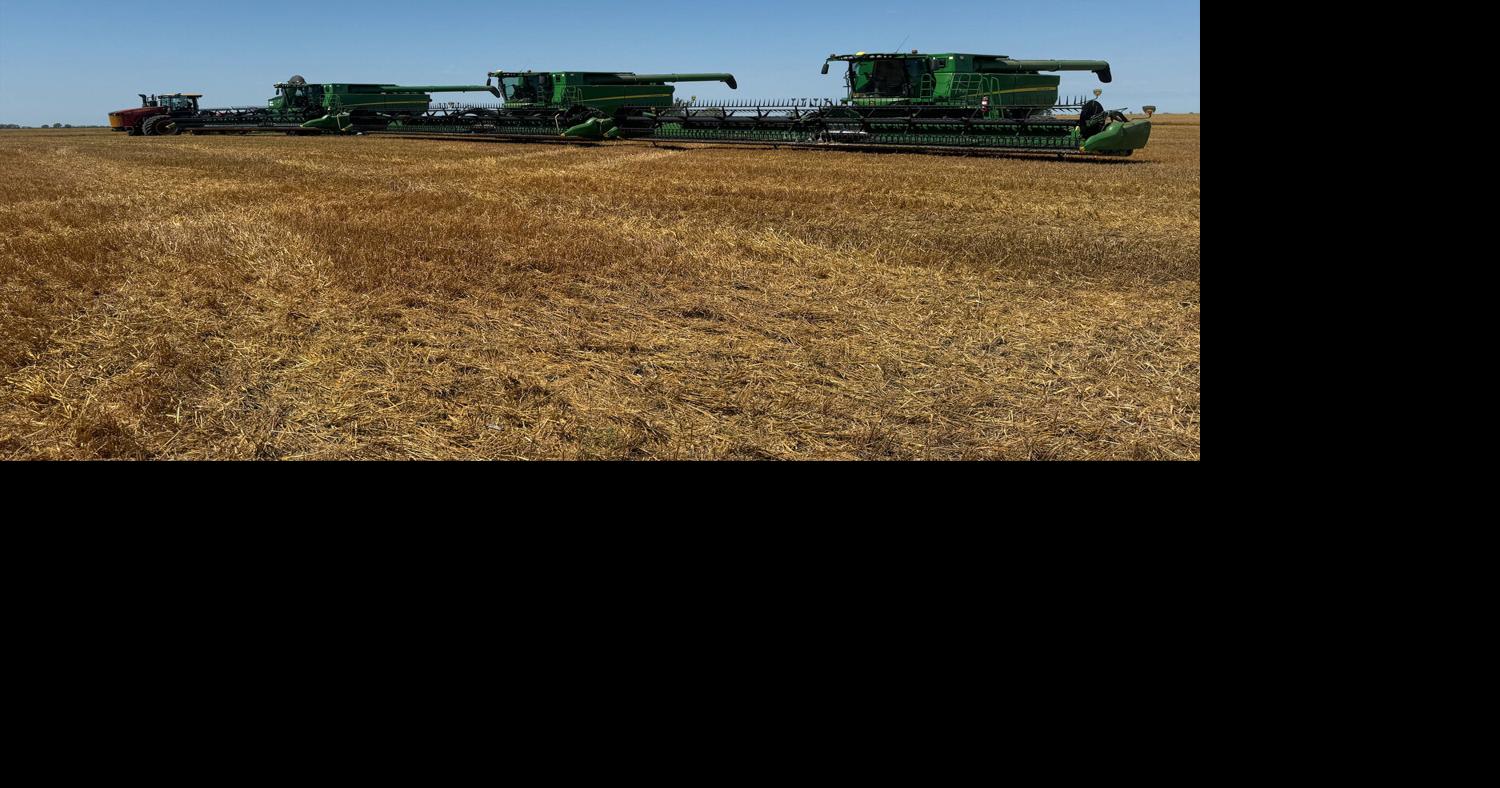 Harvest 2025