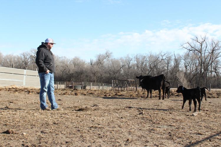 LZ Livestock (119).JPG