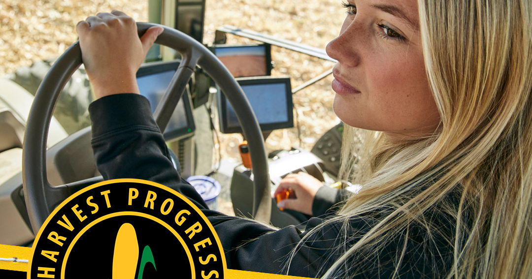 Wyffels tools help growers weigh harvest timing as wet weather raises crop-quality concerns