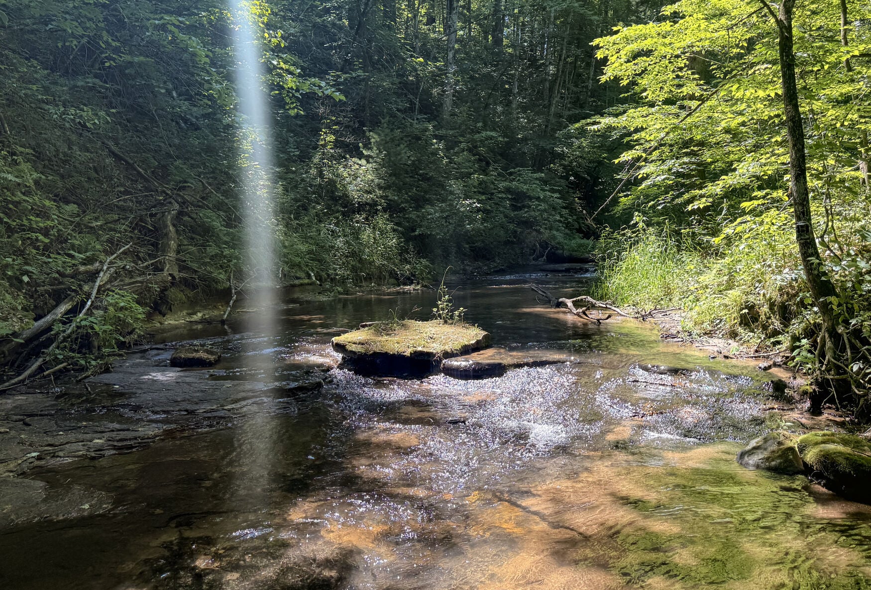 Creek