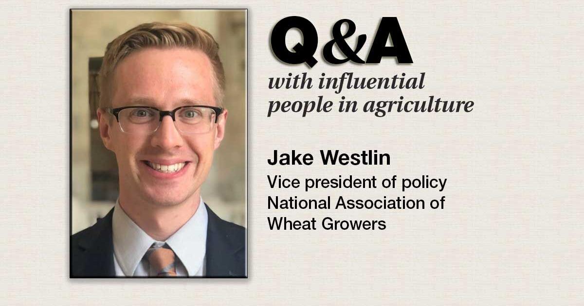 Wheat producers face ongoing global supply challenges