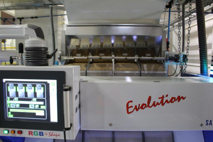 Seed meets specifications