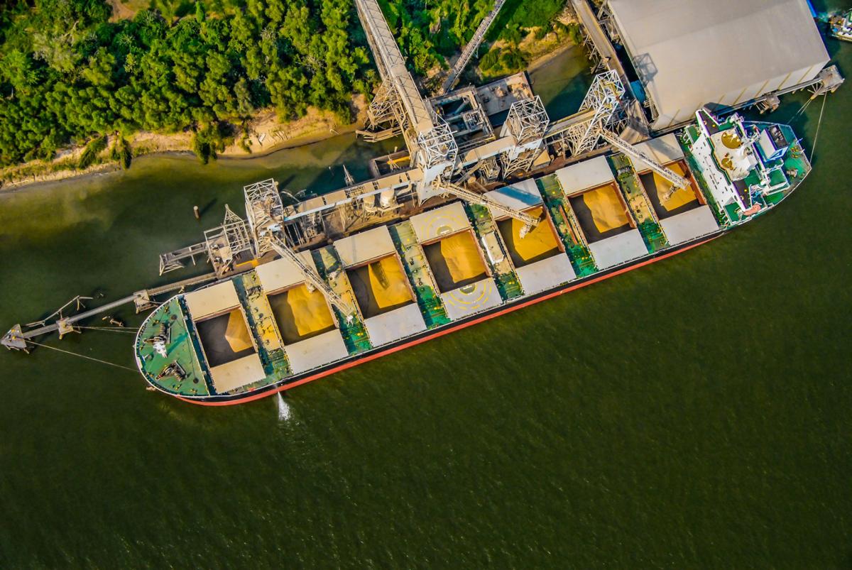 Ship containing soybean meal
