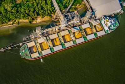 Ship containing soybean meal