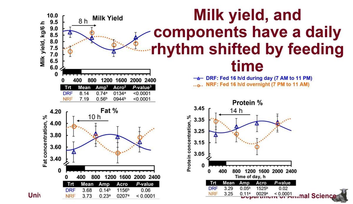 Milk yield, components have daily rhythm shifted by feeding time