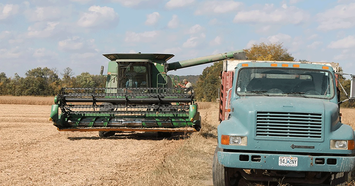 combine grain truck
