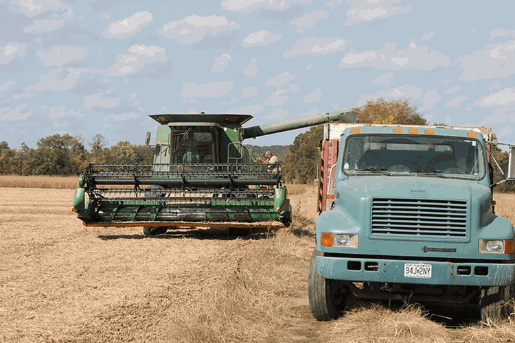 combine grain truck
