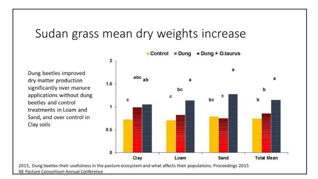 Sudan grass mean dry weights increase