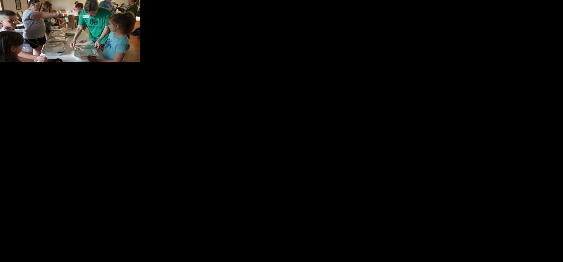 4-H volunteers