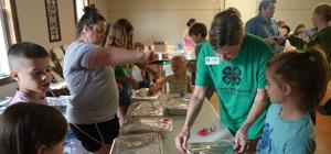 4-H volunteers