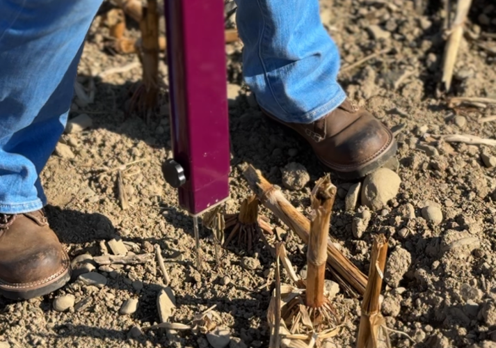 Probe in the farm field