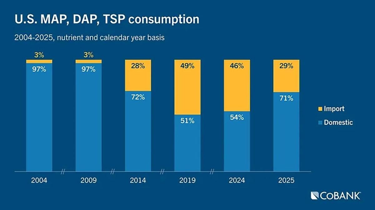 Consumption