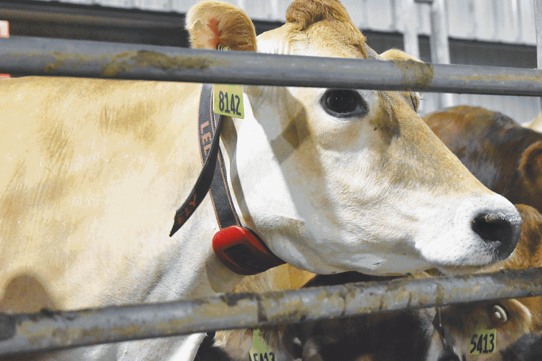 Orland-Ridge-Dairy--(64)-web.gif