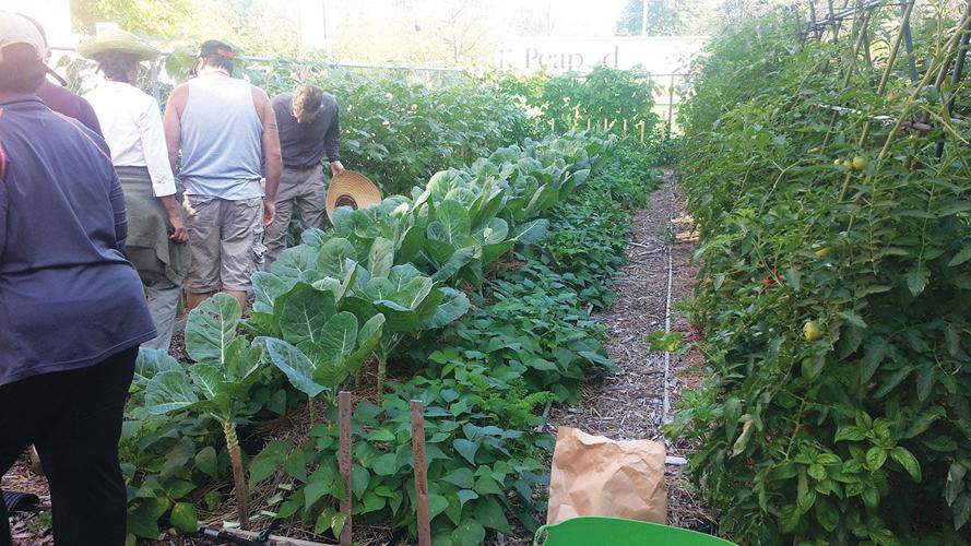 Veterans Victory Farm