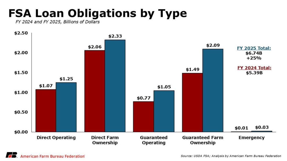 Loans by type