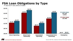Loans by type