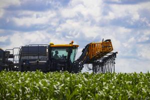 Apply nitrogen