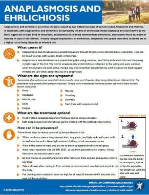 Anaplasmosis and ehrlichiosis