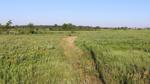 Tucker-Prairie-landscape
