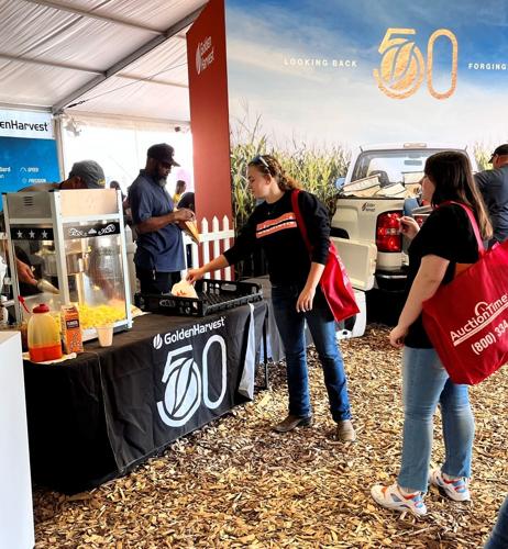 Golden Harvest 3.JPEG