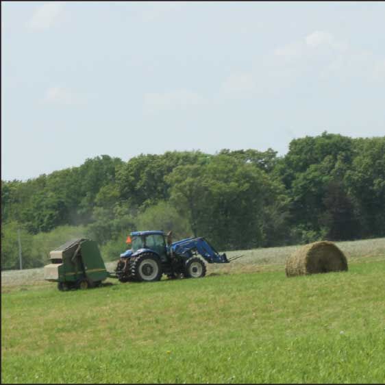 hay field