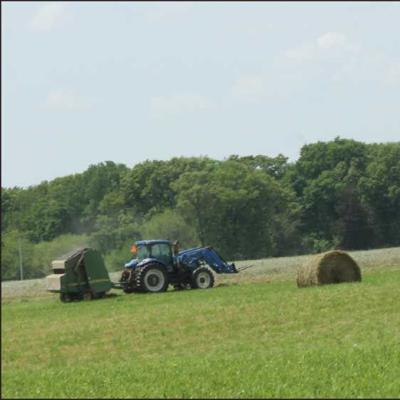 hay field