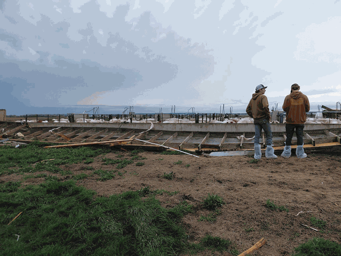 2-guys-by-broken-pig-shed.gif