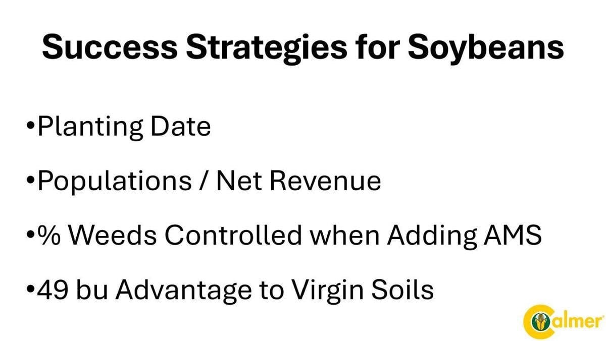 Soybeans success