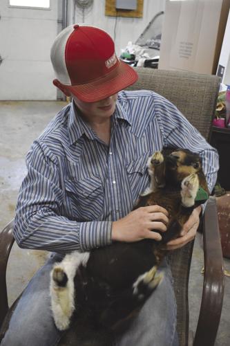 McGraw Goats (7).JPG