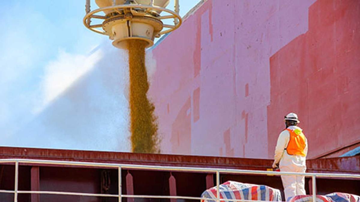 Grain is loaded to a vessel at a U.S. port.