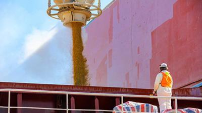 Grain is loaded to a vessel at a U.S. port.