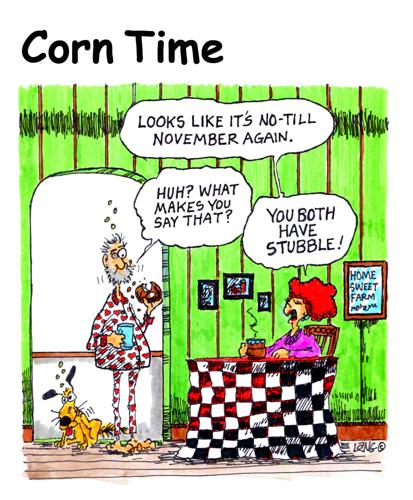 Corn Time by Bob Lang