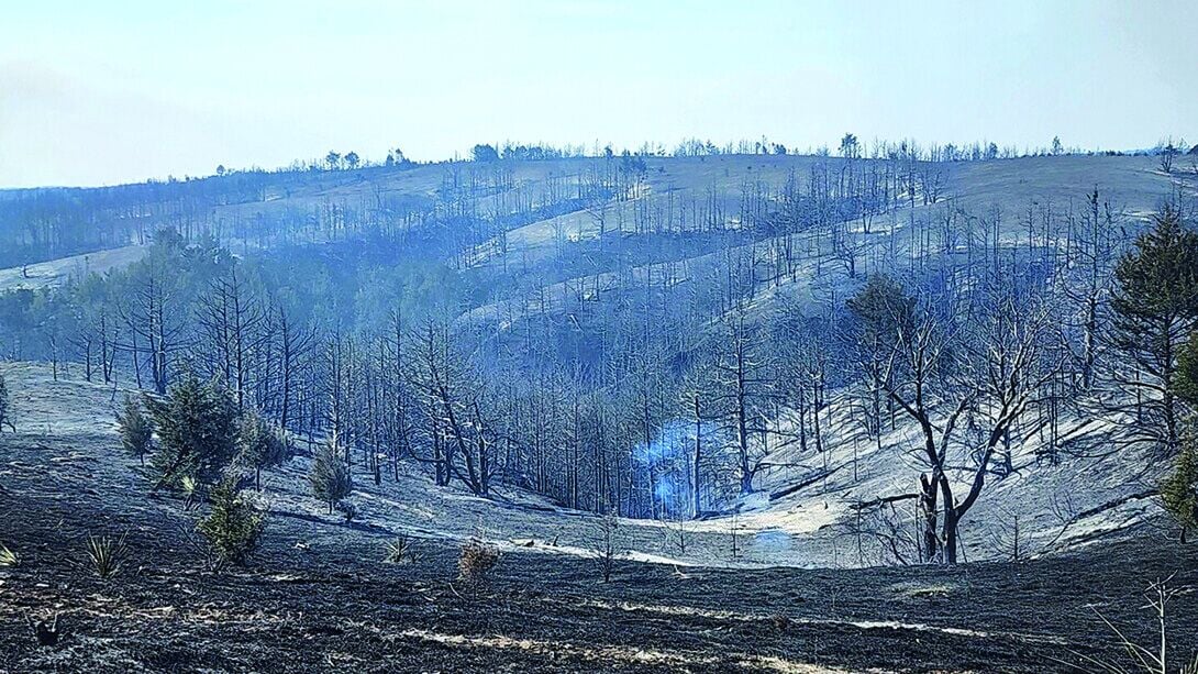 Disaster Relief Fund PIC 0730unl